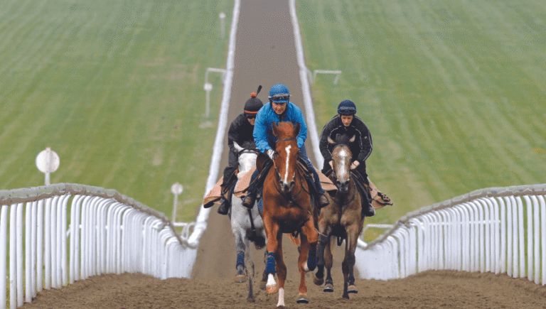 The Importance of Track Conditions in Horse Racing