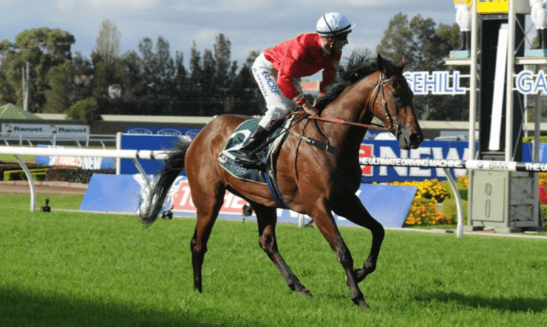 The Importance of Weight in Horse Racing