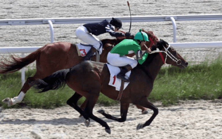 The Influence of Breeding on Horse Racing Performance