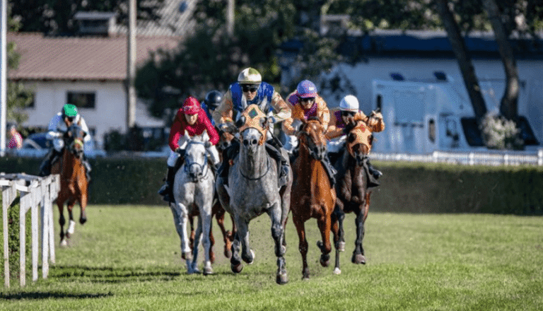 The Influence of Jockeys on Horse Racing Performance