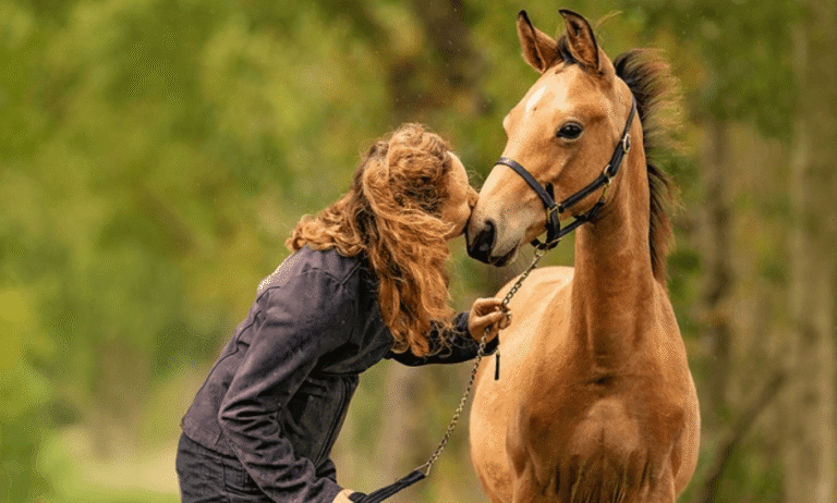The Life Cycle of a Racehorse: From Foal to Champion