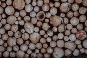 global verification activity logs listed