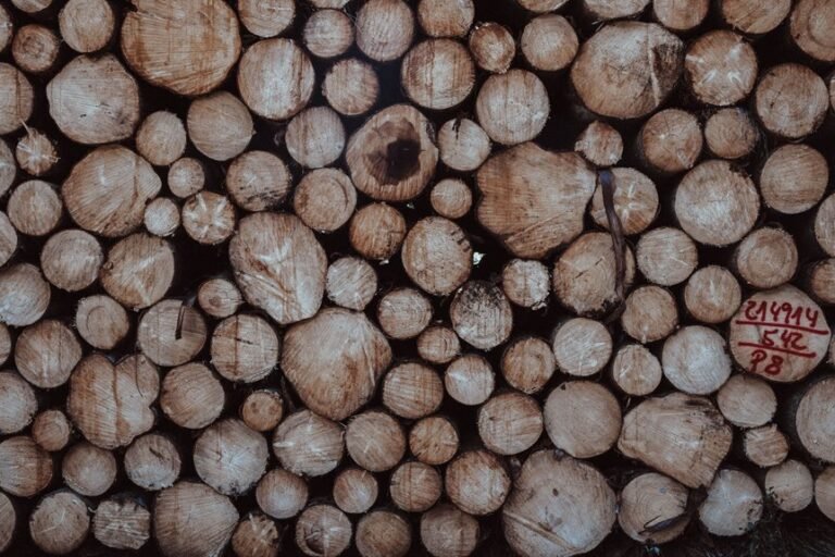 global verification activity logs listed